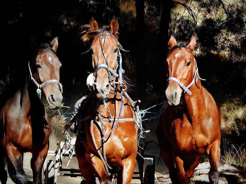 AGM 2025 temporary placeholder image